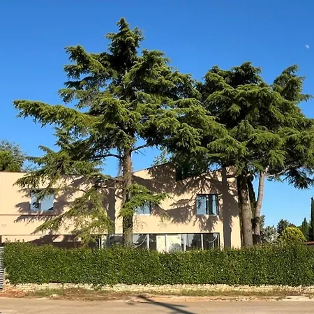 Valdora - Luxury With Heated Pool Novigrad Istria