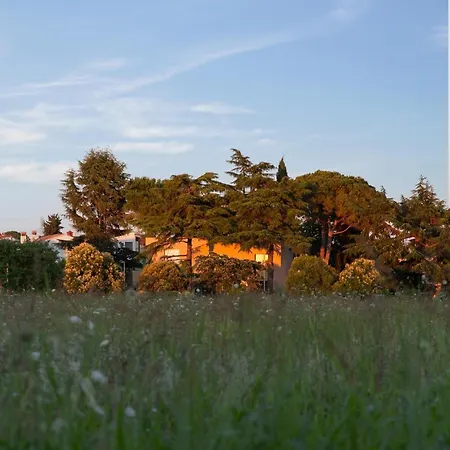 Valdora - Luxury With Heated Pool Villa Novigrad Istria