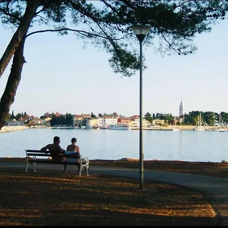 Valdora - Luxury With Heated Pool Novigrad Istria