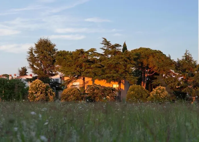 Valdora - Luxury With Heated Pool 빌라 Novigrad Istria